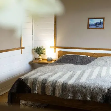 Guest house Krokus House Verkhovyna