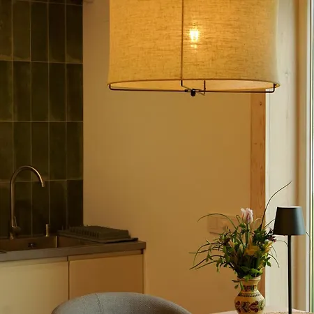 Guest house Krokus House Verkhovyna