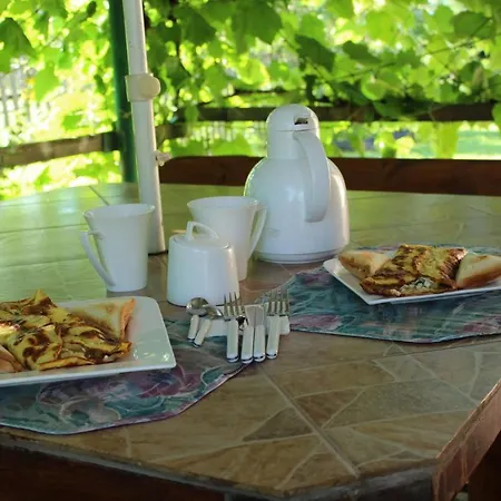 Krokus House Guest house 3*